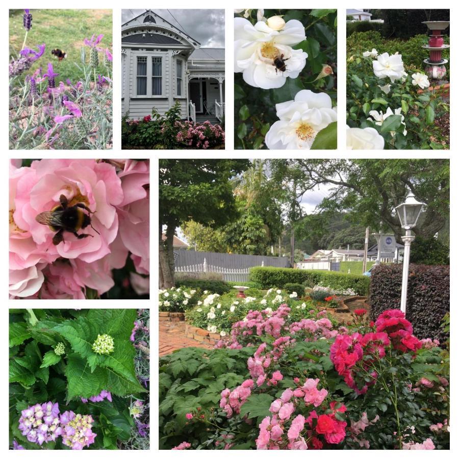 Chelsea House Bed & Breakfast Whangarei Luaran gambar